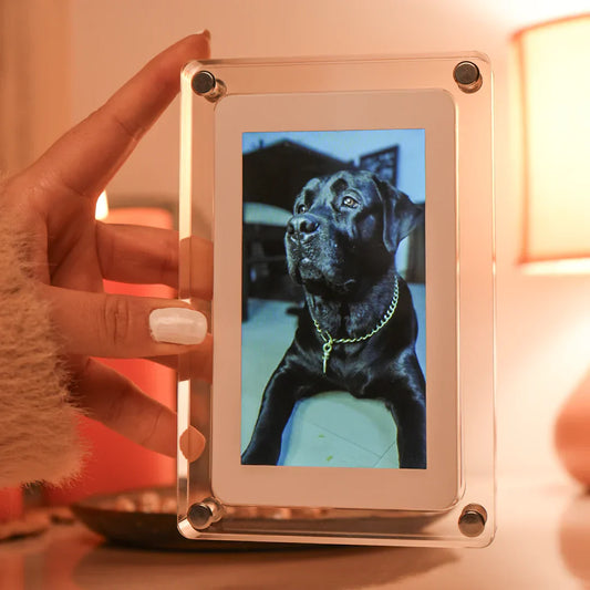 Digital Photo Frame